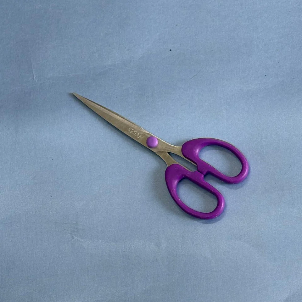 Kitchen Scissors –Multipurpose Herb & Vegetable Cutter Stainless Steel